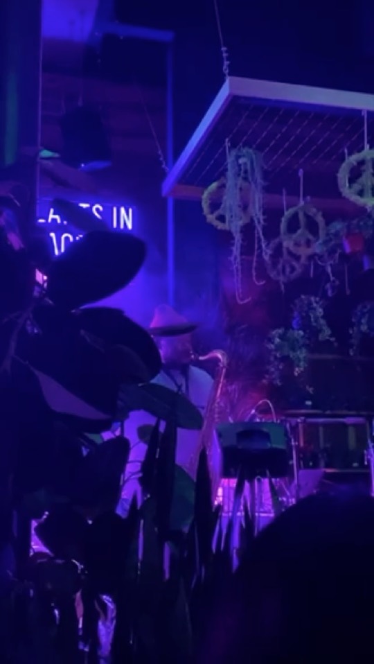 A musician performing at Mellow Nights, lit purple and blue, with hanging plants and a neon sign reading "Plants in Peace Out @themellowsf."
