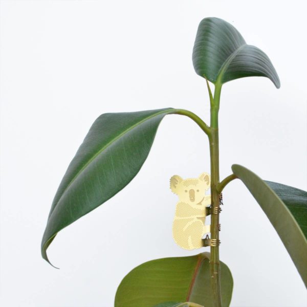 Plant Animal - Koala Bear - Image 3