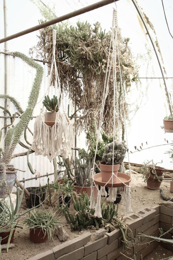 Macrame Plant Hanger with Tassels