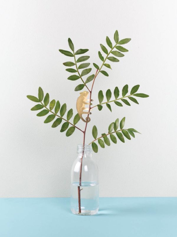 Plant Animal - Chameleon - Image 3