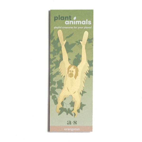Plant Animal - Orangutan - Image 5