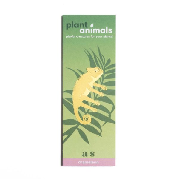 Plant Animal - Chameleon - Image 5