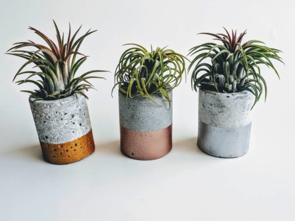 Rose Gold Mini Concrete Planter - Image 3