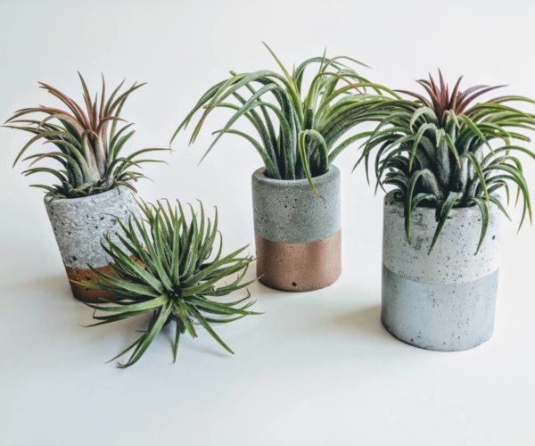 Rose Gold Mini Concrete Planter - Image 2