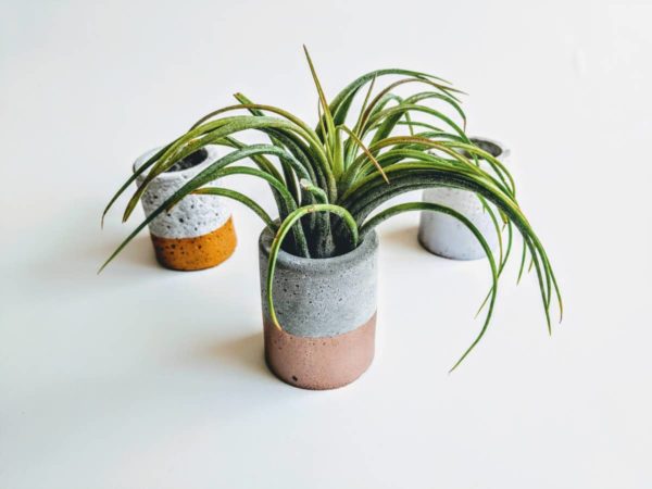 Rose Gold Mini Concrete Planter