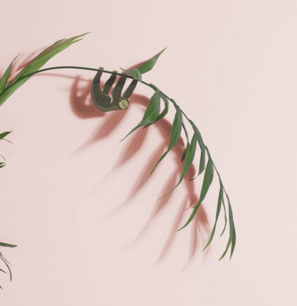 Plant Animal - Sloth - Image 2