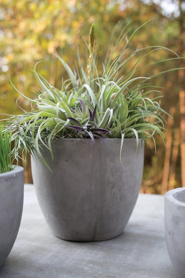 Newport Pot - Image 2