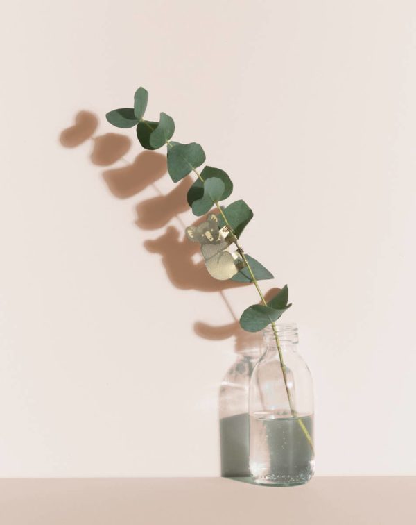 Plant Animal - Koala Bear - Image 4