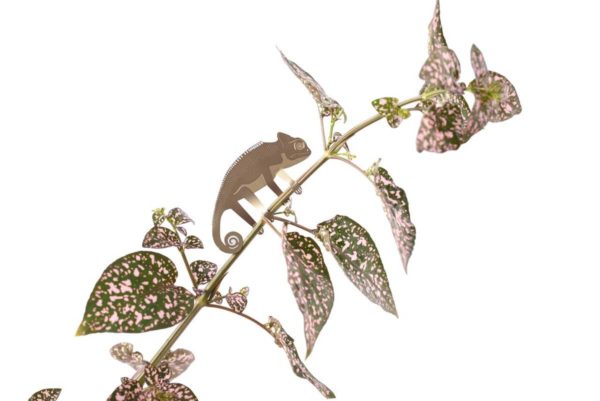 Plant Animal - Chameleon - Image 2