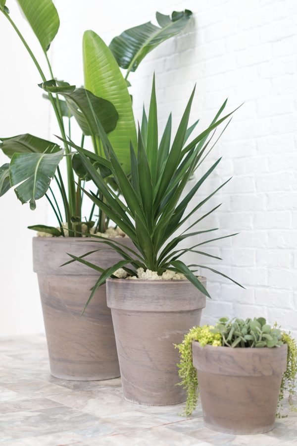 Porter Planter - Image 3