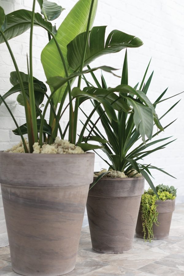 Porter Planter - Image 2