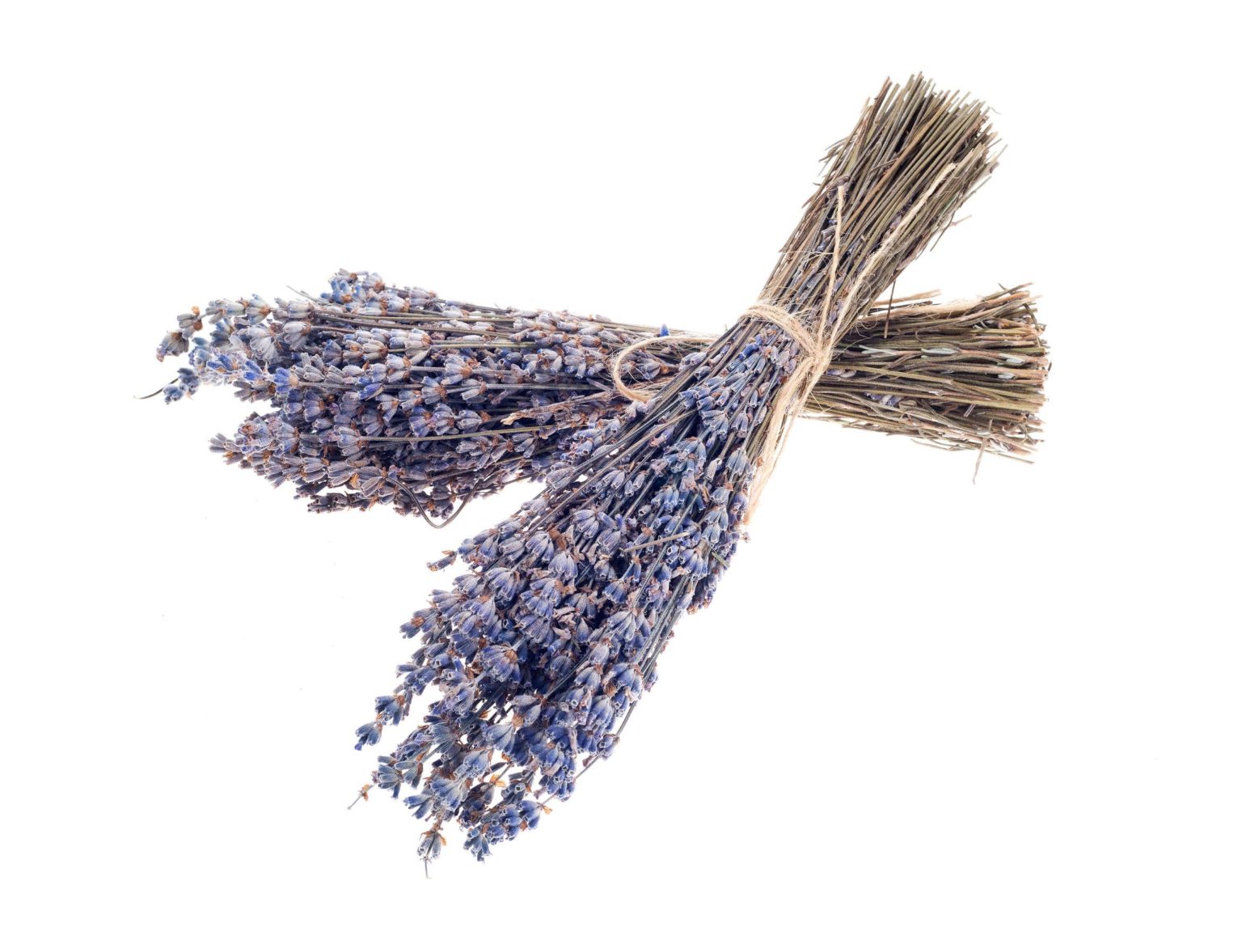 Discover The Ultimate Guide To Dried Lavender Retailers