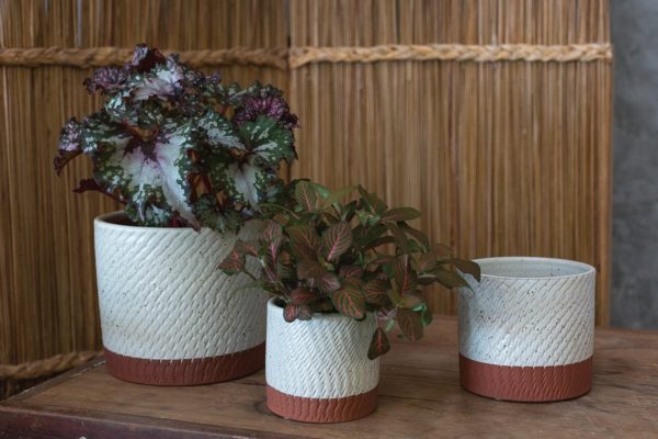 Como Collection - Image 2