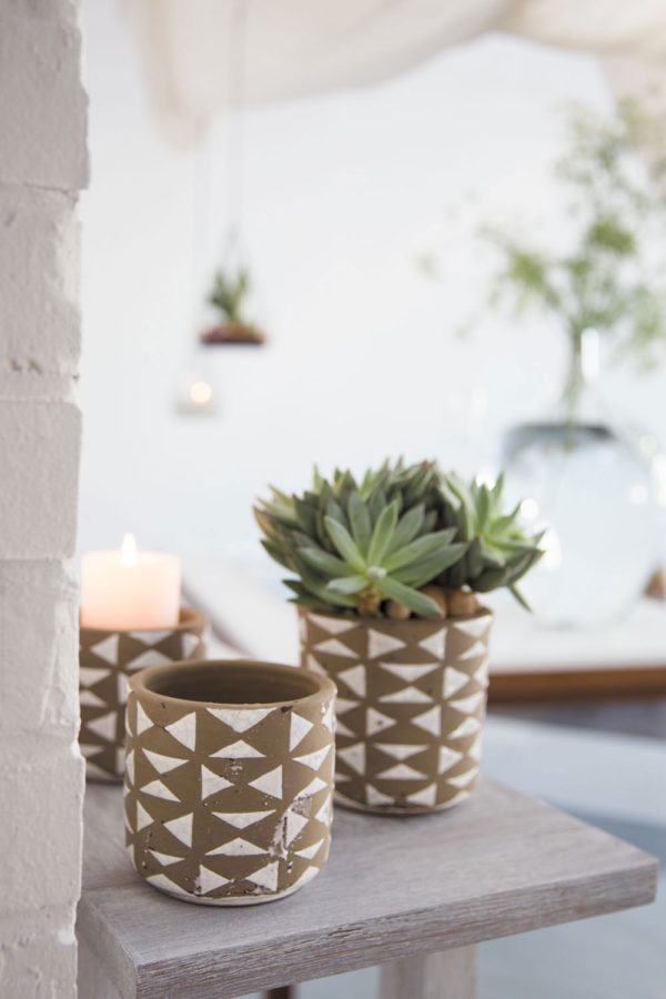 Ryder Pot - Image 2