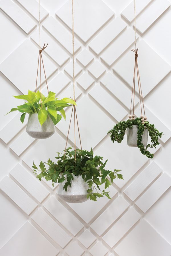 Kenzie Hanging Pot - Image 2