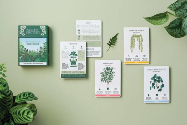 Houseplant Care Cards - Image 3