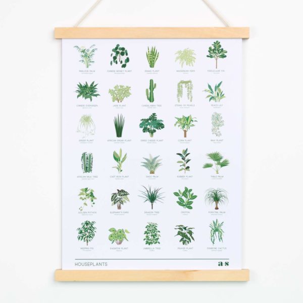 Houseplant Art Print