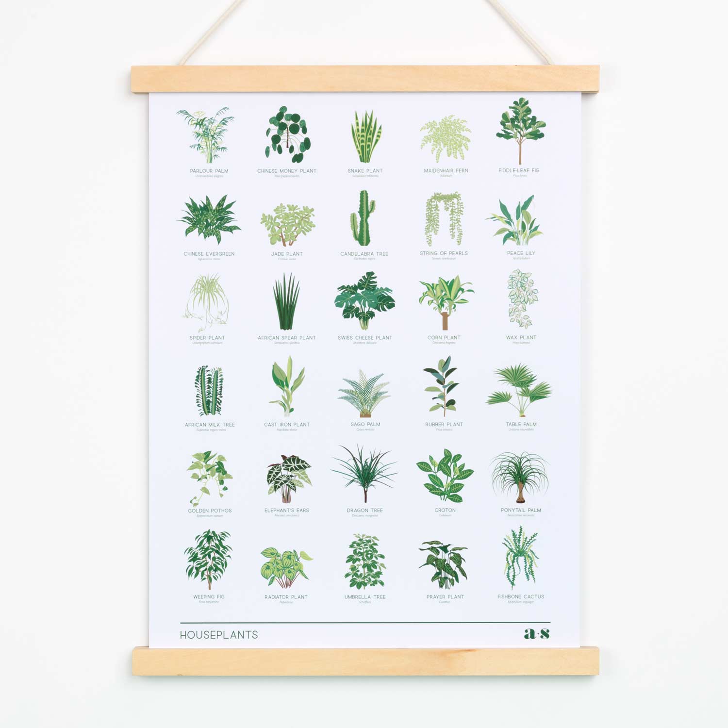 Houseplant Art Print - The Mellow SF