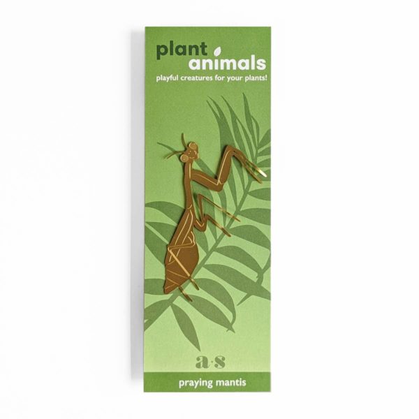 Plant Animal - Praying Mantis - Image 3