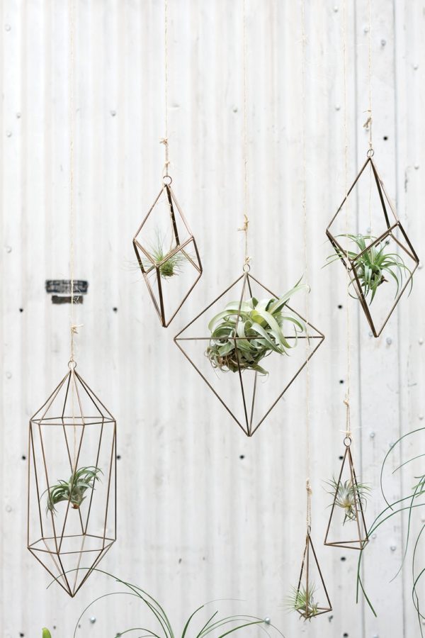 Airplant Hanger - Image 2