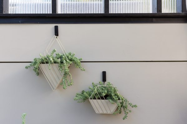 Tulane Hanging Planter - Image 3
