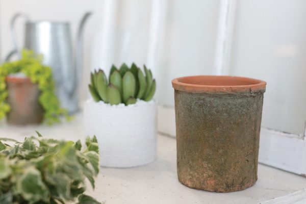 Mossy Pots Set - Image 3