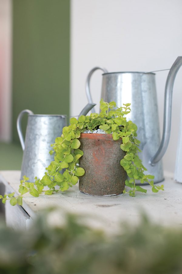 Mossy Pots Set - Image 2